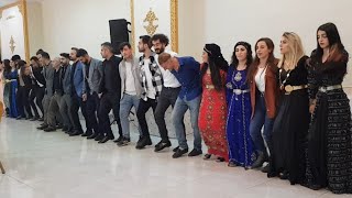 Hozan Tacettin - Aksu Ailesinin Mutlu Günü, New Davat [© ]