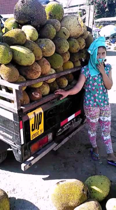 Menival indonesie7 bali1