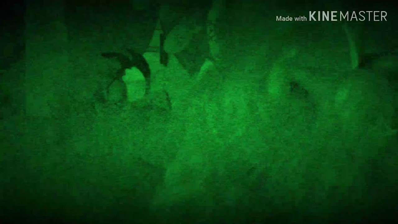 Dark Poison Dry Giga Meowser Says Yes James Parker/Grounded - YouTube