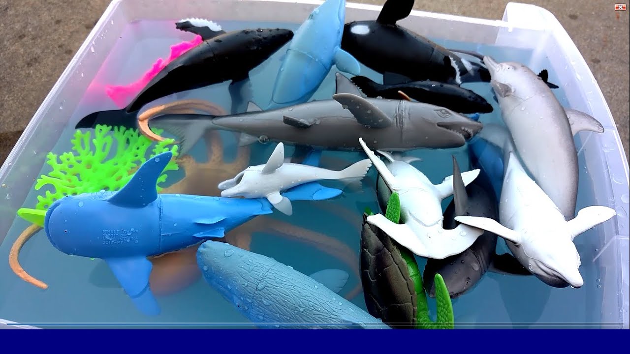 Lets Learn Names Of SEA ANIMALS with TOYS- Kids Learning Fun-Sharks
