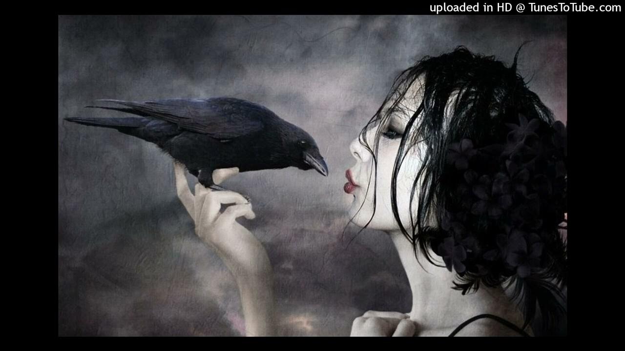 различить пол вороны. ворон женского рода. серая ворона меланист. девочка и ворон. толстая ворона.