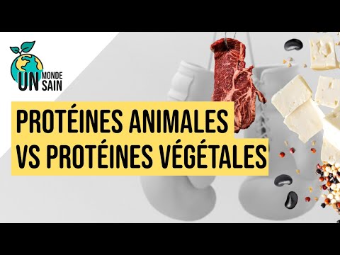 Protéines animales vs