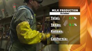 AgDay-Milk Production Report-11/22/16