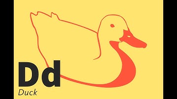 What Is Duck Typing in Computer Programming?