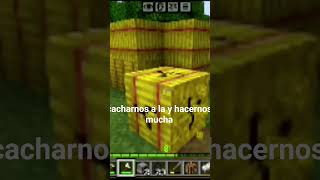 día 3 papetos denle apoyo llendo a tik tok🗣️🗣️🗣️🗣️