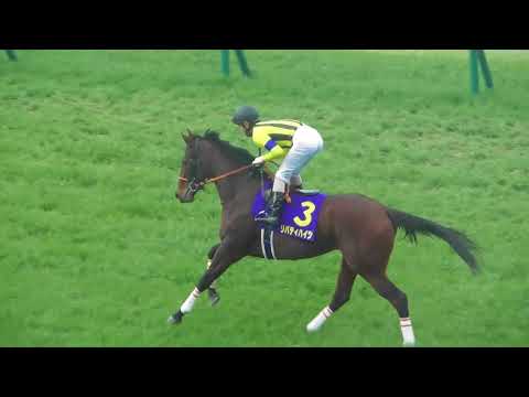 2018 第78回 桜花賞GⅠ 本馬場入場 現地映像 アーモンドアイ