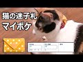 猫の迷子札 マイポケ