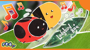 Ladybird & Bee 🐞🐝  | Intro & Theme Song 🎵 | Season 1 Episode 1: Grass Hopper Hop | @RTÉjrOfficial
