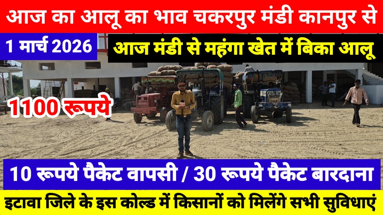 इटावा जिले के इस कोल्ड स्टोर में किसानों को मिलेंगे सभी सुविधाएं | आज मंडी से महंगा खेत में बिका आलू