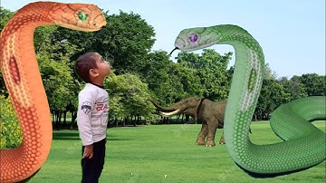Fishing and snake attack || elephant attack || snake video #vfx