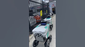 ISAIAH & OSCAR: Shady Food Delivery Robots Interrogated #robotics #automation #ai #fooddelivery