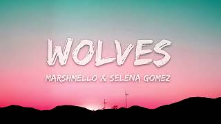 Selena Gomez, Marshmello   Wolves Lyrics 🎵1 Hour