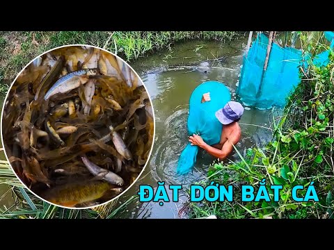 Video Theo chân cha - người đặt dớn bắt cá nổi tiếng miền... - youtube