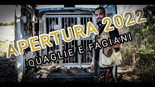 QUAGLIE E FAGIANI del litorale Laziale - APERTURA 2022 🐶🦃 Quail and Pheasant hunt 🐶🦃