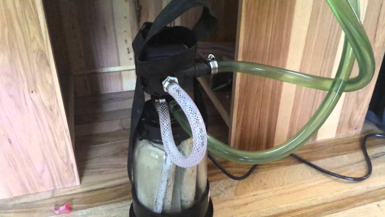 vortex diatom filter replacement