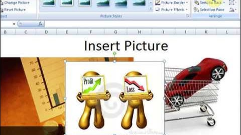 Lesson # 46 The Insert Picture Arrange Microsoft Office Excel 2007 TutorialUrdu & Hindi   YouTube