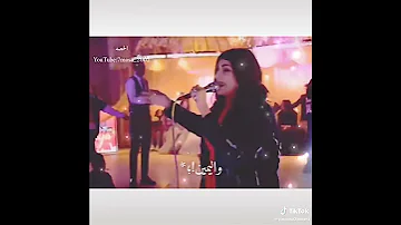 حالات واتس حظ يارا محمد أغنيه الصحاب حالها مال واليمين صبح شمال 