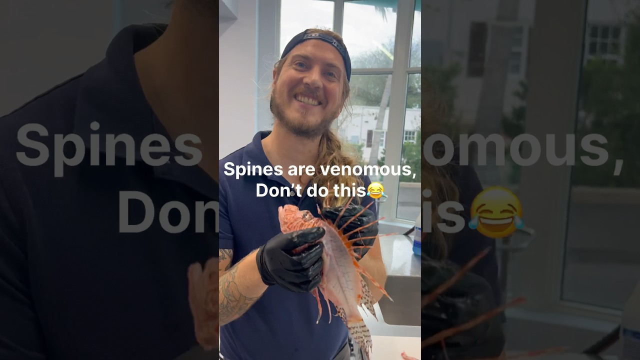 Lionfish! Invasive species turned highly sought after table fare is a win!