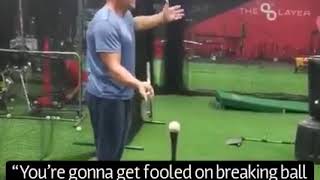Launch Angle vs Line Drive  The Art of Hitting Net Worth