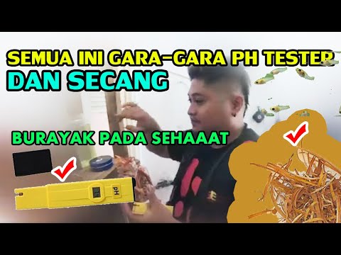 Video: Bagaimana cara mengkalibrasi skala Walgreens saya?