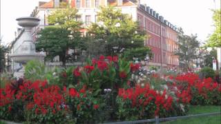 Yemen Türküsü-Seref Aydin