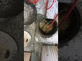 【閲覧注意】大阪市港区市岡元町でトイレつまりを高圧洗浄機を使って洗管作業しました❣️