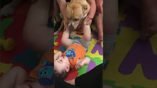 BABY AND DOG ARE SO CUTE