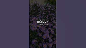 اعذب تلاوة سورة النصر القارئ أحمد العجمي #حالات_واتس #quran #ستوريات