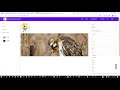 BANanoVuetify - Creating Images with the Designer