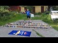 World Record Energy Drinks 2016 (Energy Drink King Herbert Sweden 501)