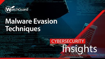 Cybersecurity Insights - Malware Evasion Techniques