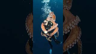octopus friend x man fantastic view