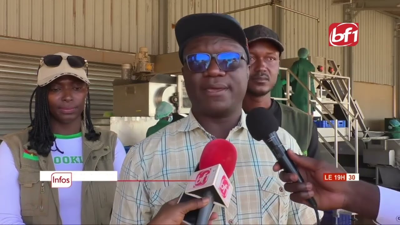 L'ananas Made in Burkina Faso passe à la vitesse supérieure. @fermedjoda7599 