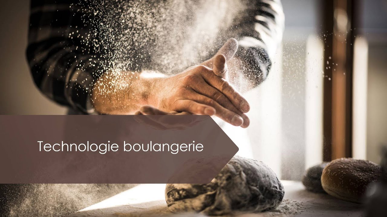 cours 22 les ingrédients et produits d'additions