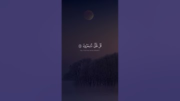 آيات من سورة المؤمنون ﴿ 84 - 92 ﴾ ياسر الدوسري