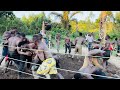 WWE Africa ELIMINATION MATCH Epic Royal RUMBLE Wrestling Softground Uganda 