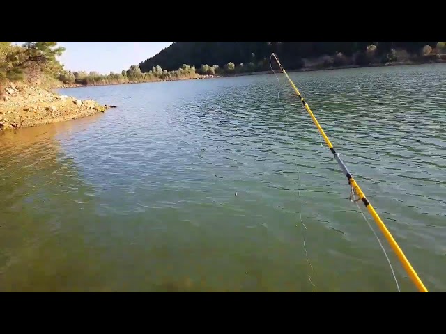 Balık Avı Turna Avı Vlog Uşak Fishing 