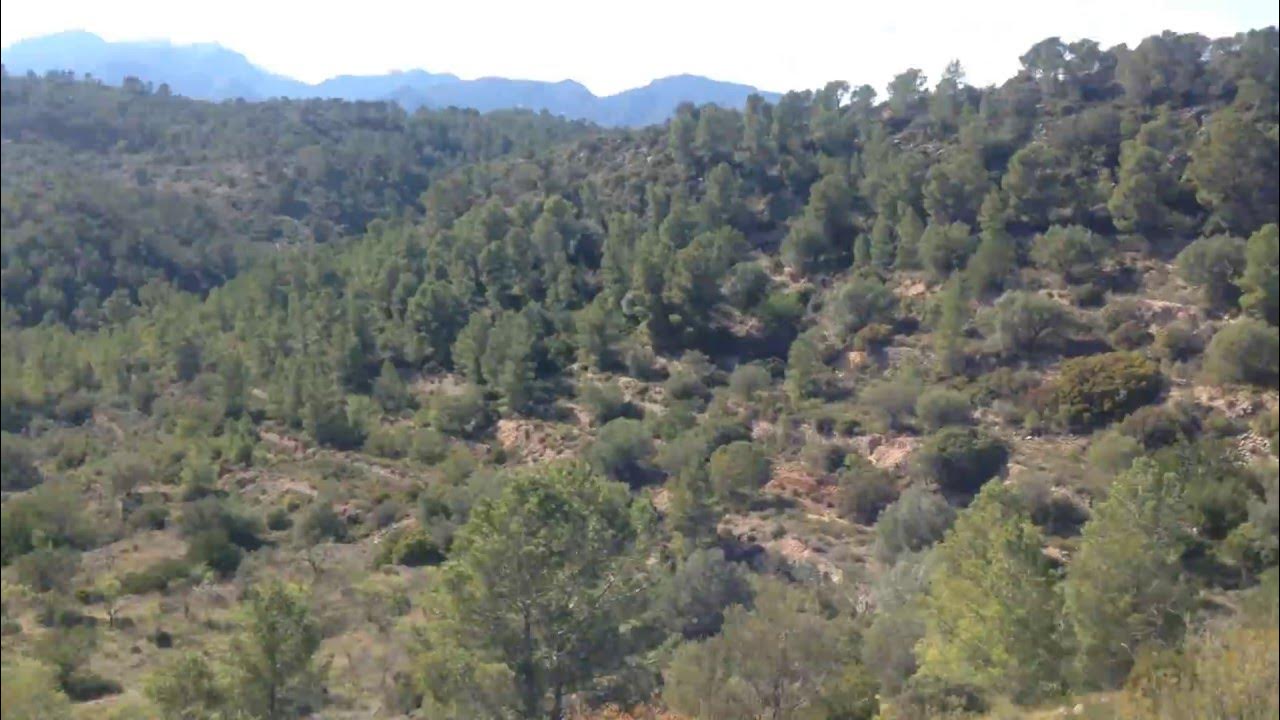 River ebro valley property for sale YouTube