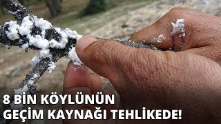 8 Bin Köylünün Geçim Kaynağı Tehlikede Herkes Durumdan Çok Rahatsız Resimi