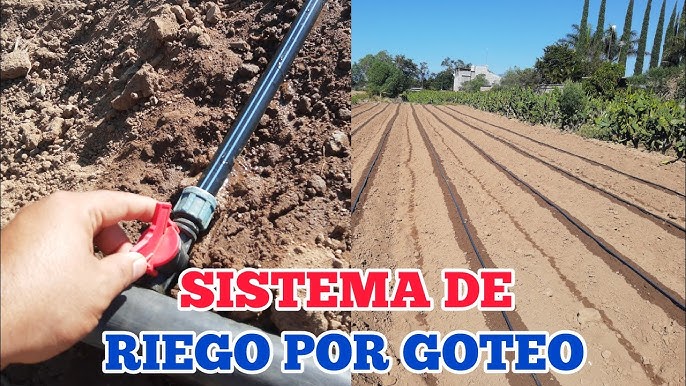 verdeesvida :: Paso a paso: Instalar riego por goteo en la terraza