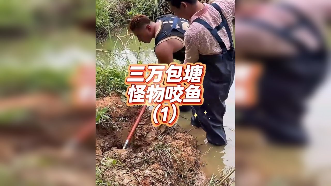 花三万在深山老林包下一口鱼塘，看看究竟藏了什么“怪物”！