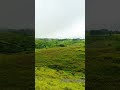 #nature