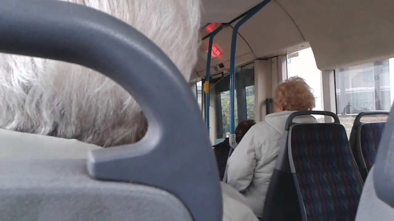 [MHD Hradec Králové] Jízda linkou 24: Terminál HD - Pod strání (Irisbus Citybus 18M)