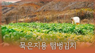 전통사찰식 텀벙김치 묵은지용 Plump Kimchi (Ripe Kimchi) EP3 자연요리