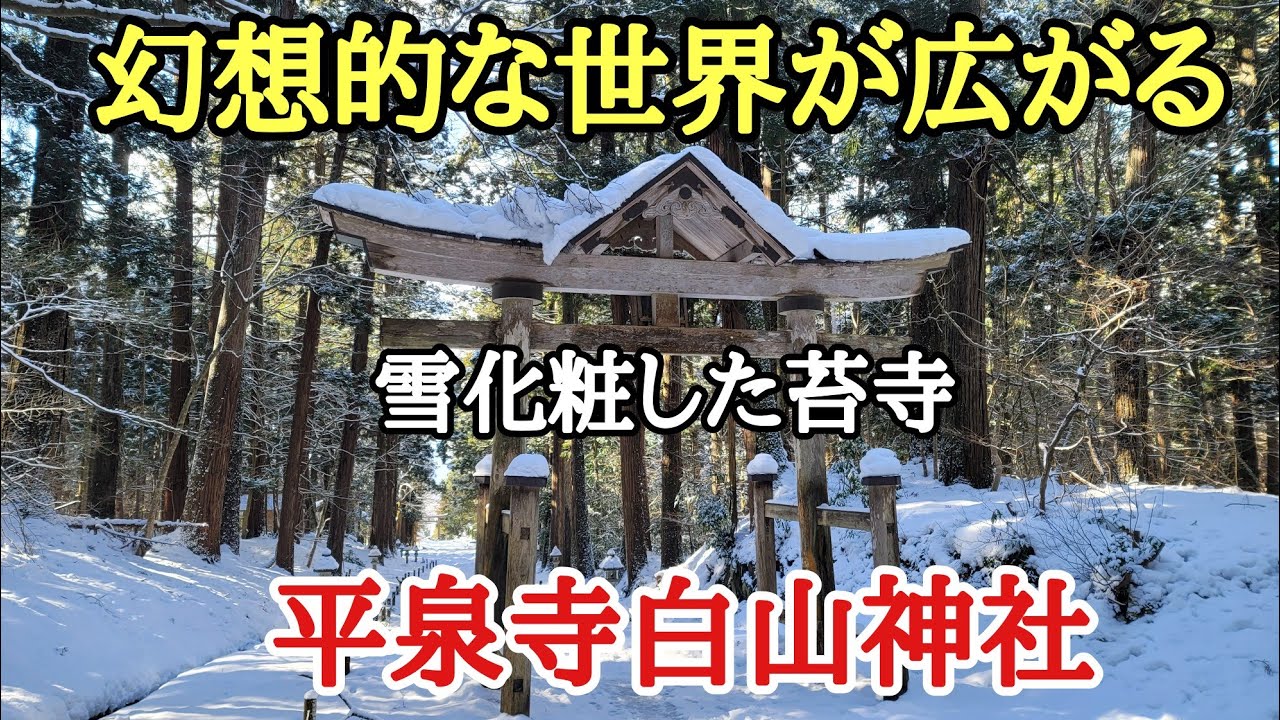 Beautiful Scenery Of Japan 絶景 幻想的 苔寺 福井県勝山市にある1300年の歴史をもつ平泉寺白山神社の雪化粧した綺麗な景色を見て来ました Youtube Beautiful Scenery Of Japan 絶景 幻想的 苔寺 福井県勝山市にある1300年の歴史をもつ平泉寺白山神社の雪化粧した綺麗な景色を見て来ました Youtube