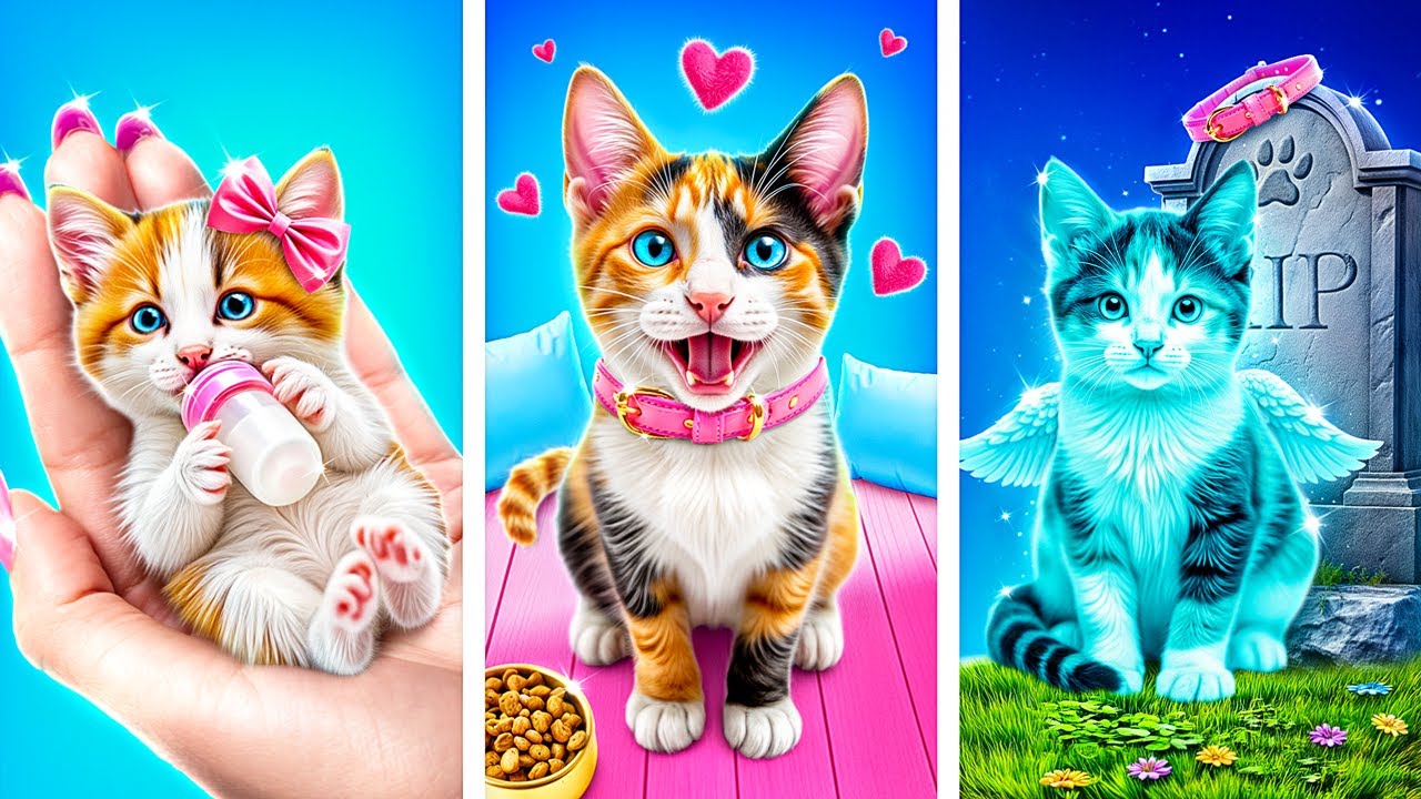 ちっちゃなネコ、うちに来た！びっくりハプニング生活♪