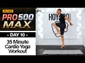 35 Minute Fat Burning Yoga HIIT Cardio Workout - PRO 500 MAX #12 - HoyPRO.com