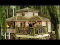 Is this the UK&#39;s Best Treehouse? Full Tour