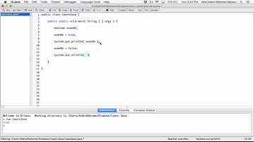 24. Primitive data type: boolean - Learn Java