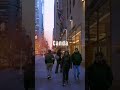 Canadian City Vibes | Walking the Urban Heart Experience Canada on Foot | City Life,